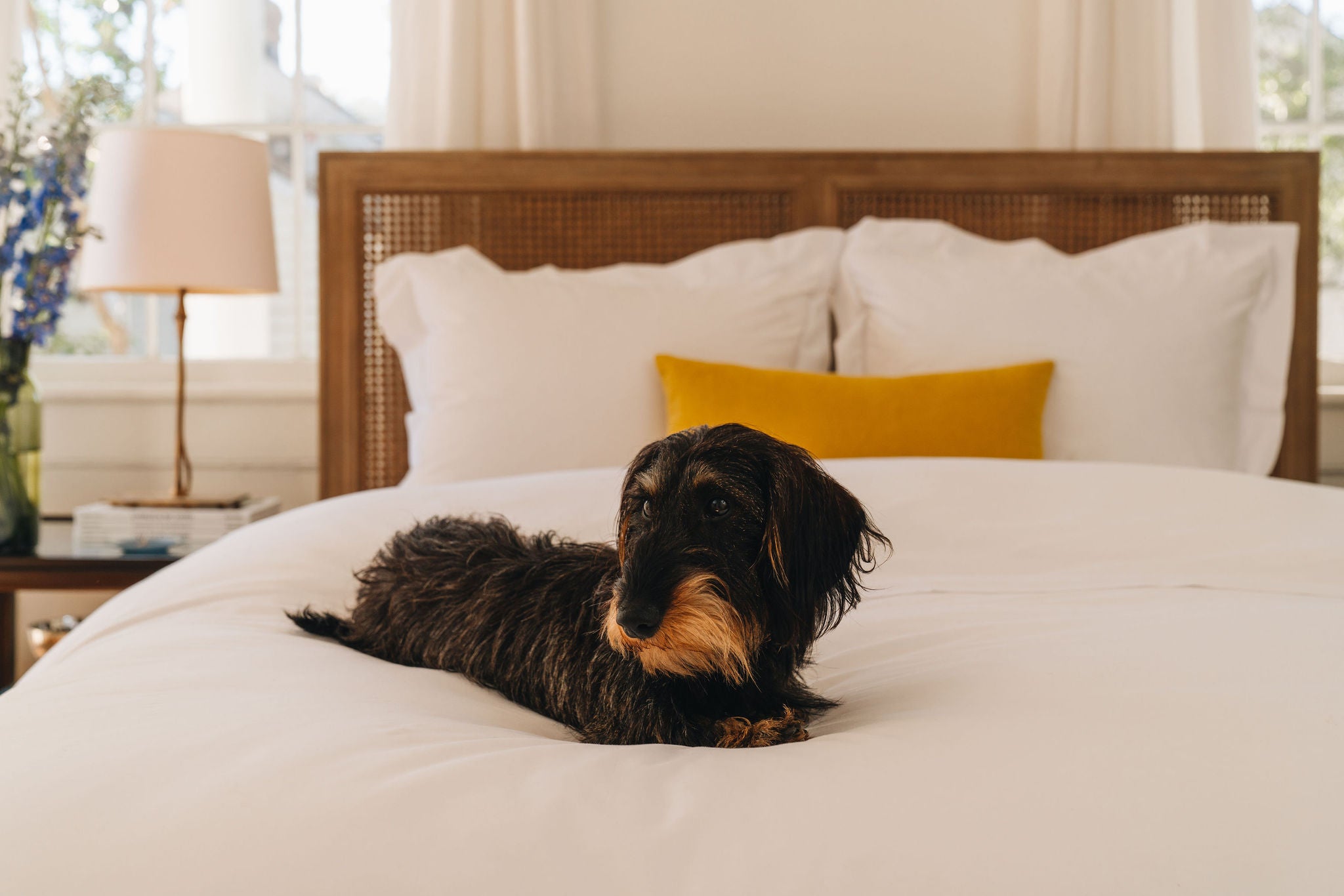 PippenHouse_CLW-118.jpg__PID:644d2fab-606c-4954-baab-2a8b22815341